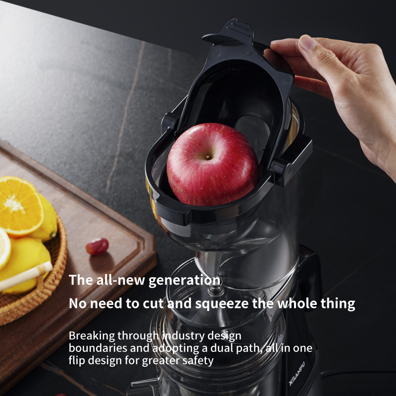 Ekstraktor do warzyw i owoców, – Electric Slow Juicer Cold Press recenzja i cena